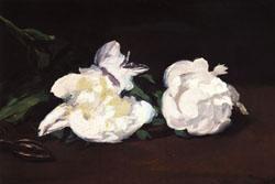 Edouard Manet Branch of White Peonies and Shears Sweden oil painting art